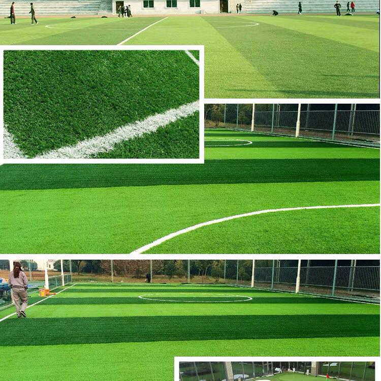 򳡲ƺ ѧУ׶԰ƺʩ 򳡲ƺϳ򳡲ƺ ѧУ׶԰ƺʩ 򳡲